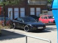 Spontanes Sonnen-Bild bei Jenny